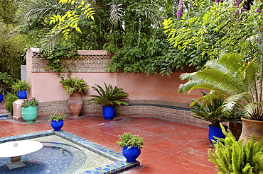 The Majorelle Garden, created by the French cabinetmaker Louis Majorelle, and restored by the couturier Yves Saint-Laurent, Marrakesh, Morocco, North Africa, Africa