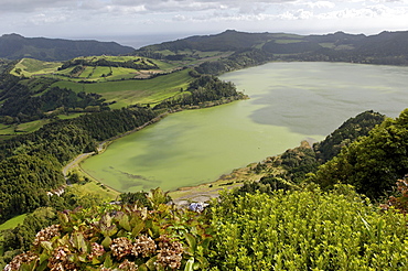 Furnas Lake, Sao Miguel Island, Azores, Portugal, Europe