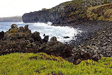 Biscoitos coast, Terceira Island, Azores, Portugal, Atlantic, Europe