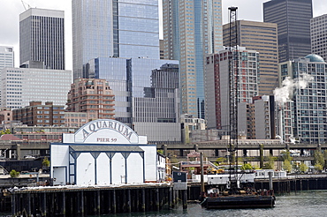 Seafront and harbour, Elliott Bay, Seattle, Washington State, United States of America, North America