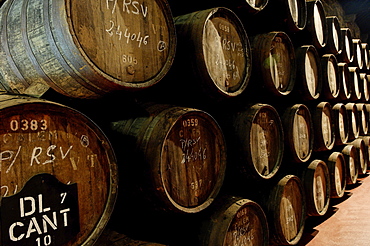 Port wine cellar, Vila Nova de Gaia, Oporto, Portugal, Europe