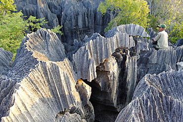 Tsingy de Bemaraha Strict Nature Reserve, UNESCO World Heritage Site, near the western coast in Melaky Region, Madagascar, Africa 