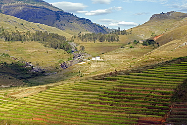 Landscape of the Highlands, Fianaranstoa region, Madagascar, Africa 