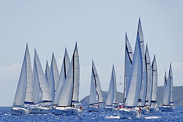 Sailboat regattas. British Virgin Islands, West Indies, Caribbean, Central America