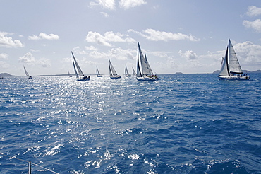 Sailboat regattas. British Virgin Islands, West Indies, Caribbean, Central America