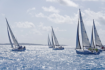 Sailboat regattas. British Virgin Islands, West Indies, Caribbean, Central America