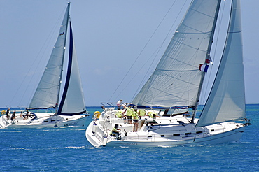 Sailboat regattas. British Virgin Islands, West Indies, Caribbean, Central America