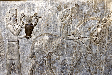 A bas-relief depicting Armenians bringing their famous wine to the king, the monumental stairs of the Apadana, Persepolis, Iran, Middle East