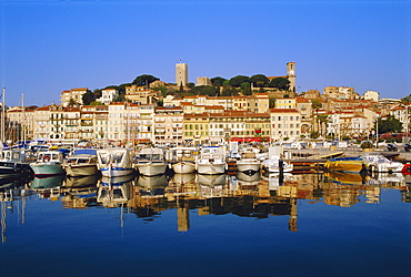 The Port, the Quay St. Pierre and the Suquet, Cannes, Alpes Maritime, France 