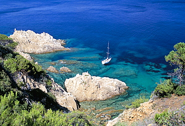 Corniche of Cap Camarat, close to the isle of Saint Tropez, Var, Cote d'Azur, Provence, French Riviera, France, Mediterranean, Europe