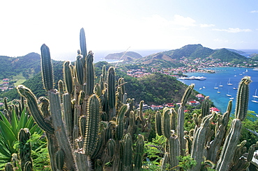 View from Fort Napoleon, Terre-de-Haut, Les Saintes, French Antilles, West Indies, Central America