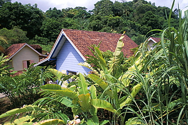 Creole houses, former Domaine Limbe, Commune de Sainte Marie, island of Martinique, French Lesser Antilles, West Indies, Central America