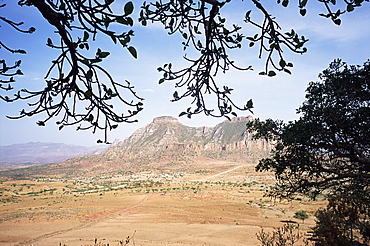 On the slopes of Mount Workamba, Tambien region, Tigre province, Ethiopia, Africa