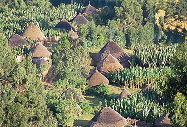 Village in the land of the Gourague, Hosana region, Shoa province, Ethiopia, Africa