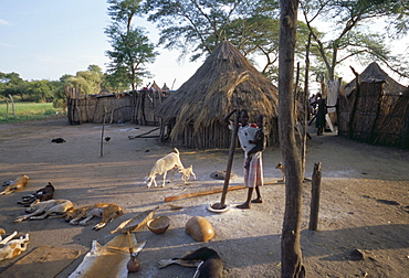 Batour village of the Anouak (Anuak) ethnic people, edge of Lake Tata, Ilubador state, Ethiopia, Africa