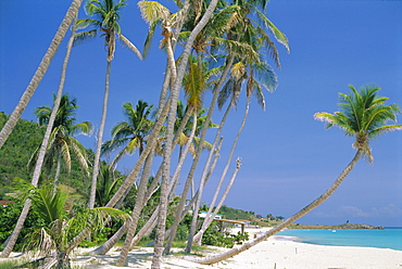 Johnson's Point beach, south-west coast, Antigua, Caribbean