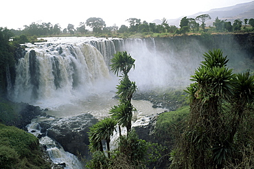 Blue Nile Falls, near Lake Tana, Gondar region, Ethiopia, Africa