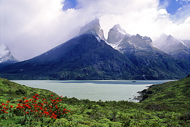 Torres del Paine, Torres del Paine NP, Chile, South America