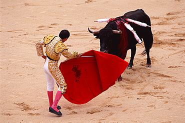 Bull fight, Quito festival, Ecuador 6 December. South America