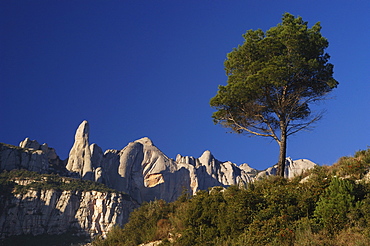 Escarpment at Montserrat, Montserrat, Catalonia, Spain, Europe