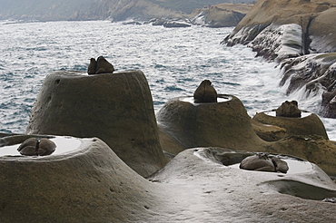 Coastal rock formations, Yehliu, Taipei County, Taiwan, Asia