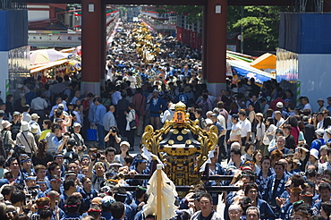 Mikoshi portable shrine of the gods parade and crowds of people, Sanja Matsuri Festival, Sensoji Temple, Asakusa Jinja, Asakusa, Tokyo, Japan, Asia