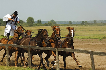 Hungarian cowboy horse show, Bugaci Town, Kiskunsagi National Park, Hungary, Europe