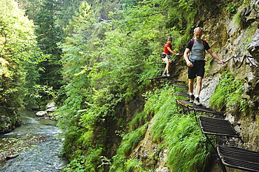 Hikers on steel ladders, Horad River Gorge Hiking Trail, Slovensky Raj, Paradise National Park, Slovakia, Europe