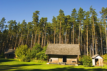 Birchwood roofed house, one of the traditional buildings from rural life in the Latvian Ethnographic Open-Air Museum, Riga, Latvia, Baltic States, Europe