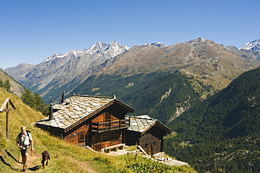 Hiker and dog on trail in front of traditional slate roofed house, Zermatt Alpine Resort, Valais, Switzerland, Europe