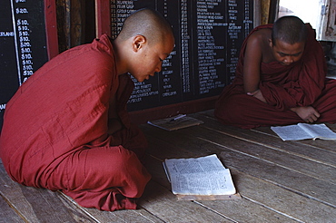 Trainee monk, monastery, Inle Lake, Shan State, Myanmar (Burma), Asia