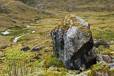 An Alpine valley on the Routeburn Track, one of the great walks of New Zealand, Fiordland National Park, South Island, New Zealand, Pacific