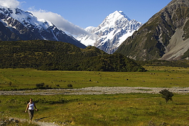 Hikers below Aoraki (Mount Cook), 3755m, the highest peak in New Zealand, Te Wahipounamu UNESCO World Heritage Site, Aoraki (Mount Cook) National Park, Southern Alps, Mackenzie Country, South Island, New Zealand, Pacific