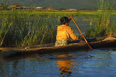 Woman in boat, Inle Lake, Shan State, Myanmar (Burma), Asia