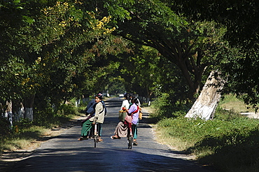 Children on bicycles, Inle Lake, Shan State, Myanmar (Burma), Asia