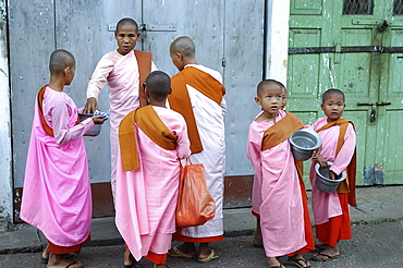 Buddhist nuns collecting morning alms, Yangon (Rangoon), Myanmar (Burma), Asia                     