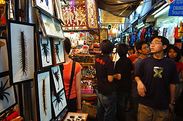 Chatuchak weekend market, Bangkok, Thailand, Southeast Asia, Asia