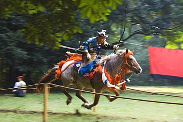 Horse Back Archery Competition (Yabusame), Harajuku District, Tokyo, Honshu Island, Japan, Asia