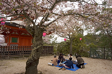 Pagoda at Itsukushima jinja shrine, spring cherry blossoms, Miyajima island, Hiroshima prefecture, Honshu island, Japan, Asia