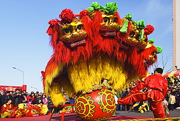 Lion Dance, Chinese New Year, Spring Festival, Beijing, China, Asia