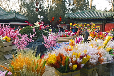 Decorations at a Temple Fair at Donyue Temple during Chinese New Year Spring Festival, Beijing, China, Asia