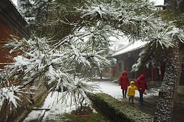 Visitors to a temple after winter snow, Fragrant Hills Park, Western Hills, Beijing, China, Asia