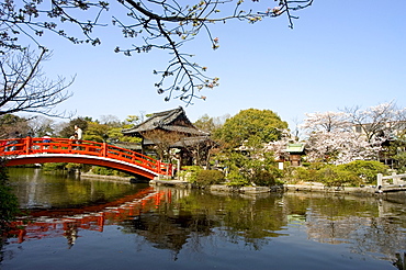 Kyoto city, Honshu island, Japan, Asia