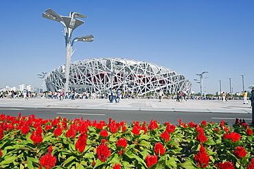 Flowers and The Birds Nest National Stadium designed by Herzog and de Meuren in the Olympic Green, Beijing, China, Asia