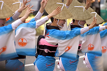 Tokushima Ao Odori dancers, holiday festival, Nagoya City, Gifu prefecture, Honshu Island, Japan, Asia