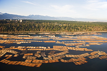 Aerial view of cut logs in the sea waiting to be transported, Vancouver, British Columbia, Canada, North America