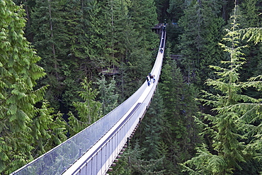 Tourists in Capilano Suspension Bridge and Park, Vancouver, British Columbia, Canada, North America