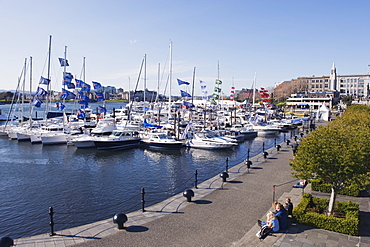 Boats on James Bay Inner Harbour, Victoria, Vancouver Island, British Columbia, Canada, North America