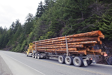 Logging truck in MacMillan Provincial Park, Vancouver Island, British Columbia, Canada, North America