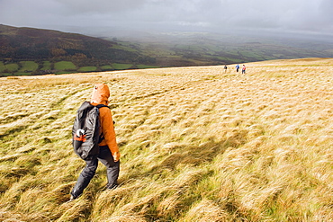 Hikers on Pen y Fan mountain, Brecon Beacons National Park, Powys, South Wales, United Kingdom, Europe